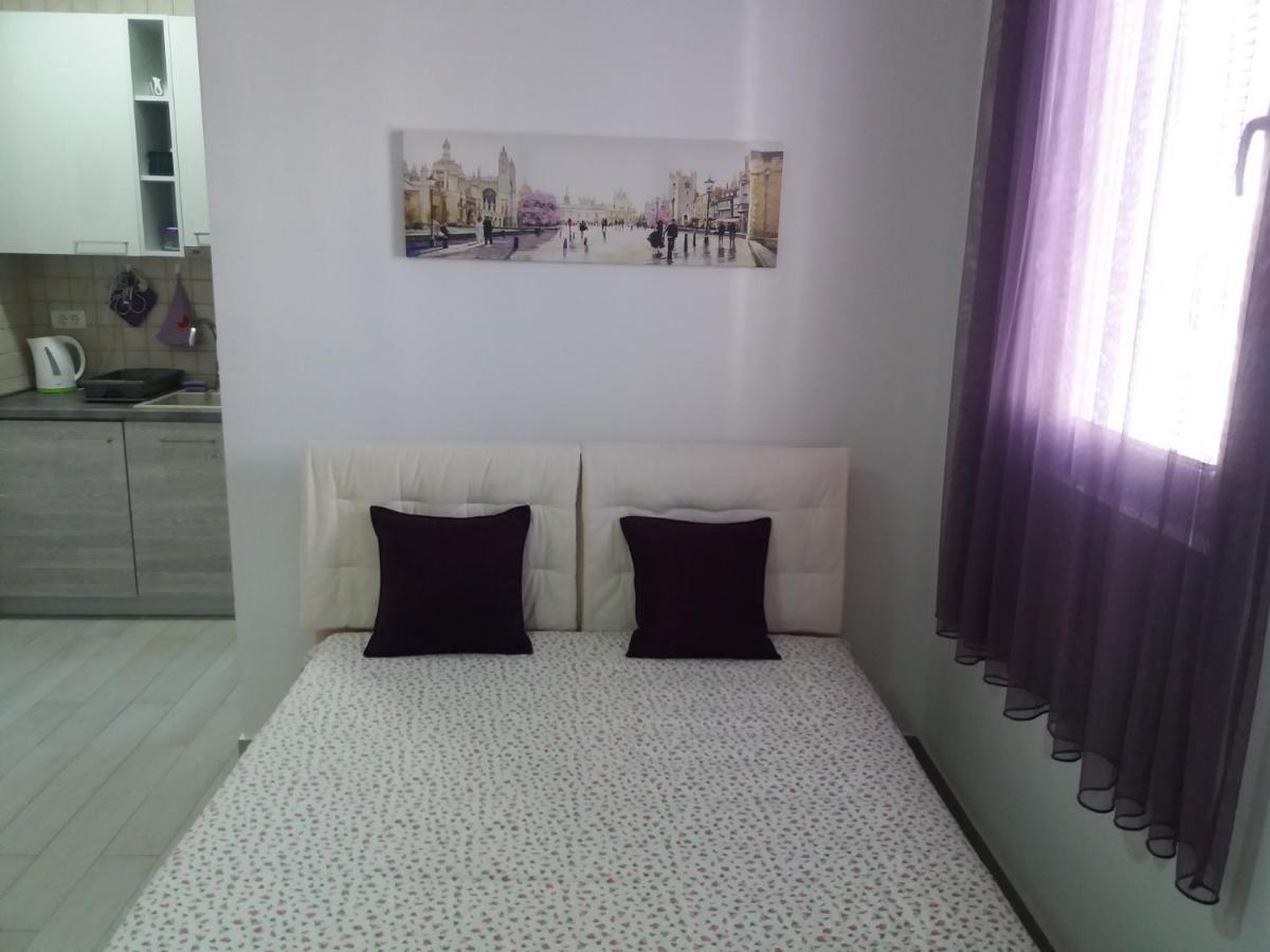 Apartments Aleksic بار المظهر الخارجي الصورة